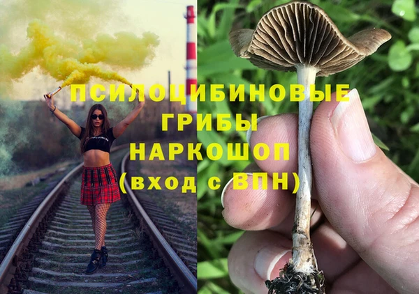 соль ск Арсеньев